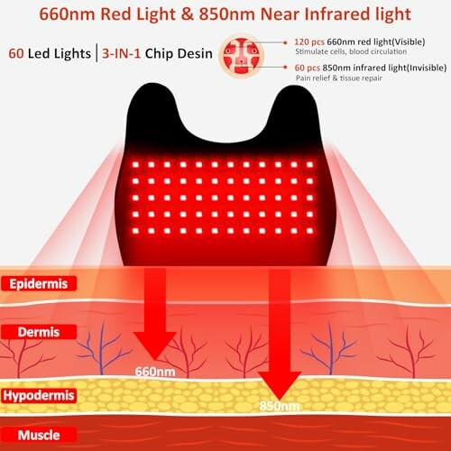 Diagram showing 660nm red light and 850nm infrared light penetrating skin layers.